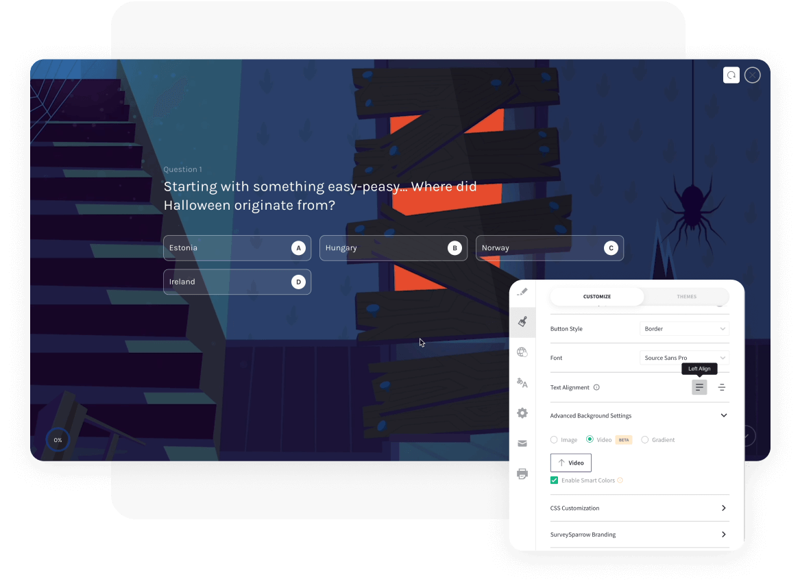 Video surveys Video surveys